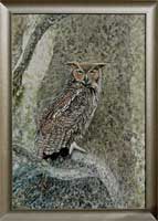 Great Horned Owl in the Rainforest